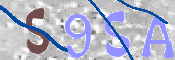 Image Anti-spam